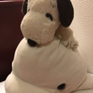 ringo07