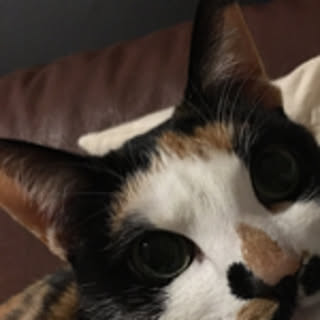 Kayoko