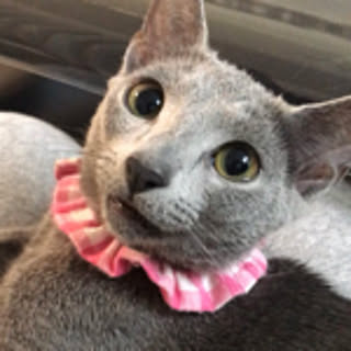 ABBY