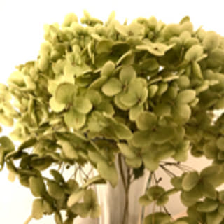 linen