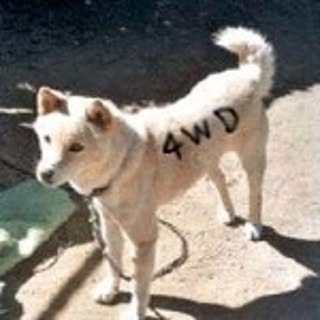 john_doe122