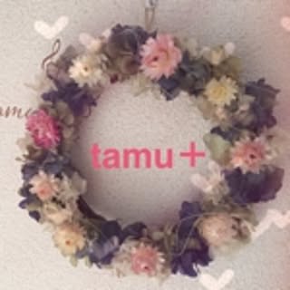 tamu_plus