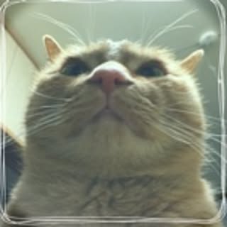 sachiM