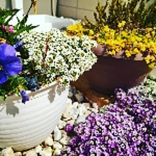 en