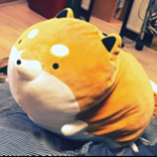 renamon
