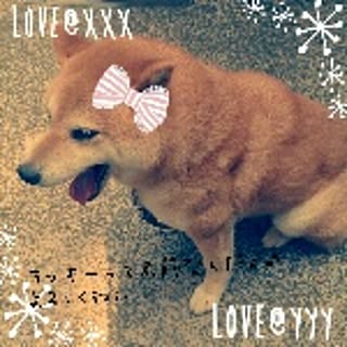 anju---n