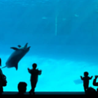 mei924