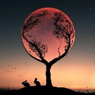 xyz