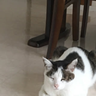 jun