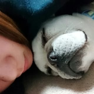 keiko
