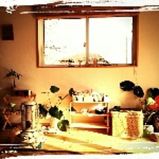 in_aus_blife