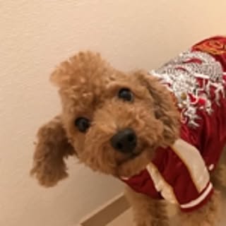 amyumyu0u0