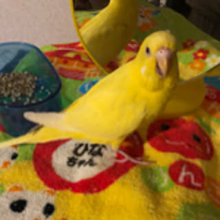 Hiroko