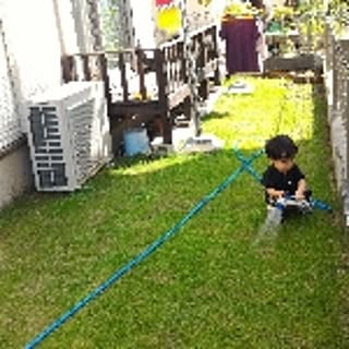 Shuji