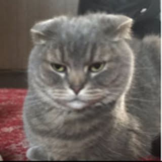 nao