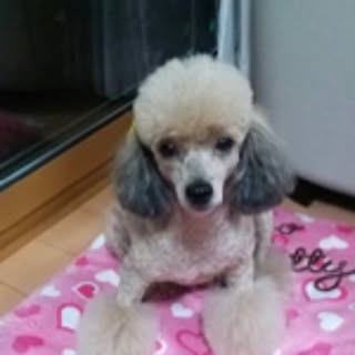 minami
