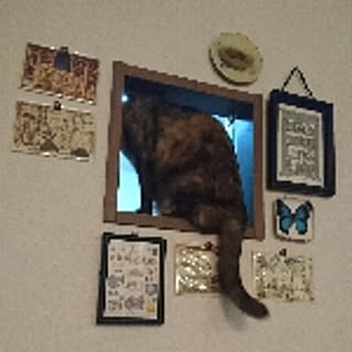 toki
