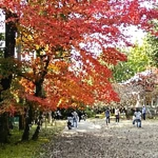 yutaka