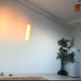 hibilazy