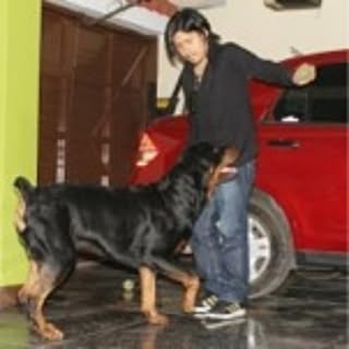 Kenichi
