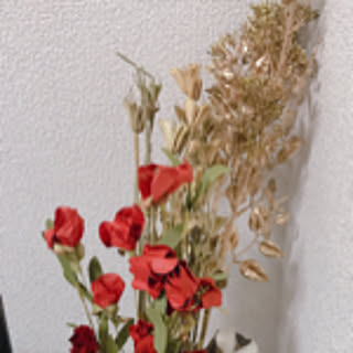 misasa