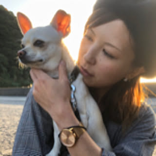 ryu.mama