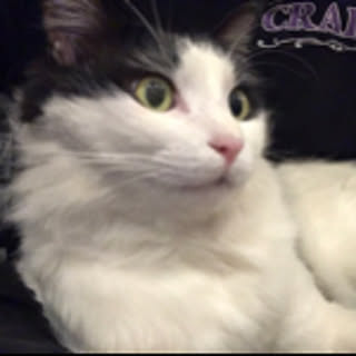 Saku