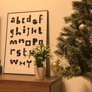 piyo