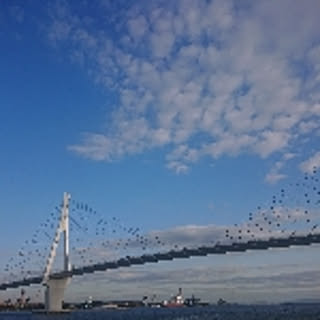 riichi0409