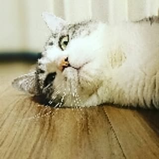 t0Ir