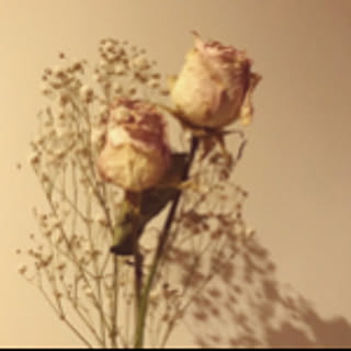 nonn1223