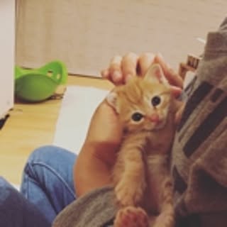 attyann.mama