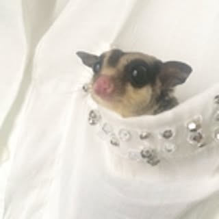 JiroTan