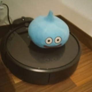sasa