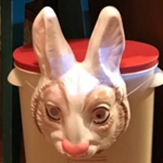 chobibi