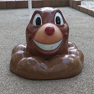 sunoko