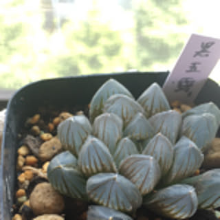 URI