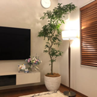 haru.11