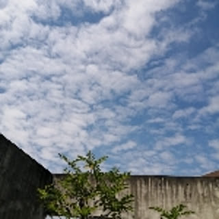 leciel