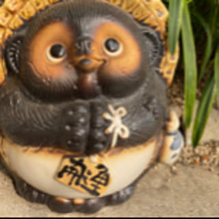 Tanukichi