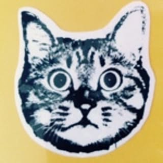 neko4053