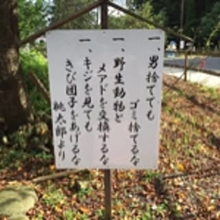 moco