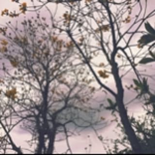 Ryokaha_badu