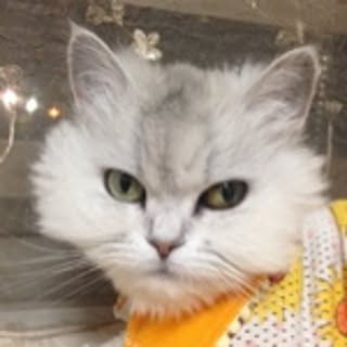 baniramugi