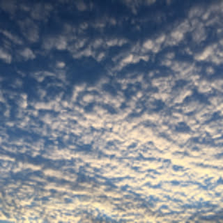 tmmycp