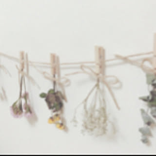 honoclip