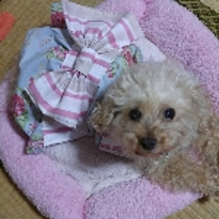 yasuyo