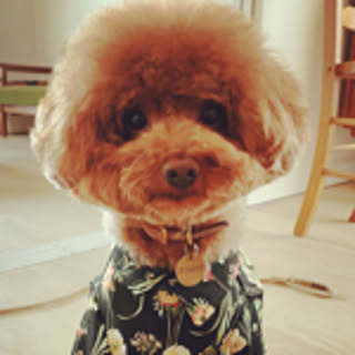 KEI