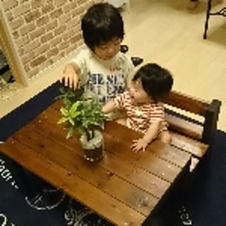 masato