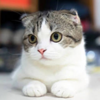 tsumuri